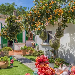  Сasa de vacaciones Casa Vileta